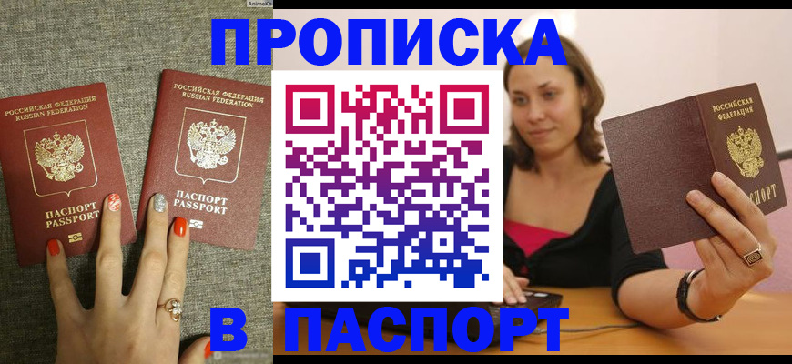 прописка паспорт в Чудово